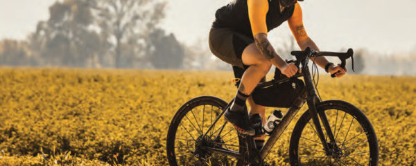 vélos